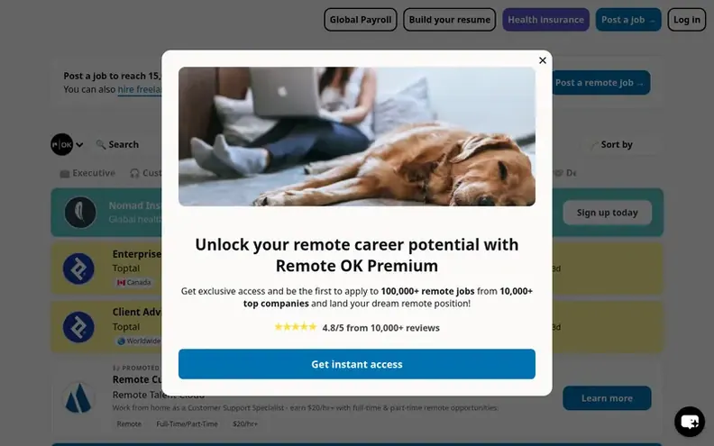 Screenshot of the Remote OK® homepage